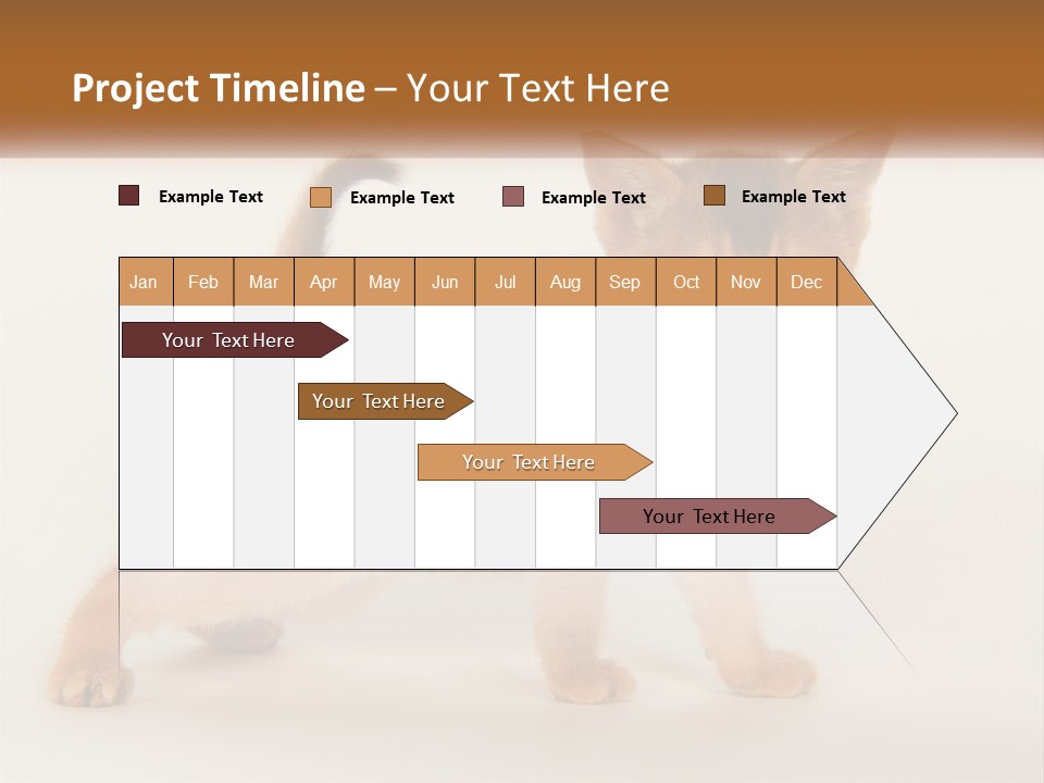Switch Electricity Supply PowerPoint Template