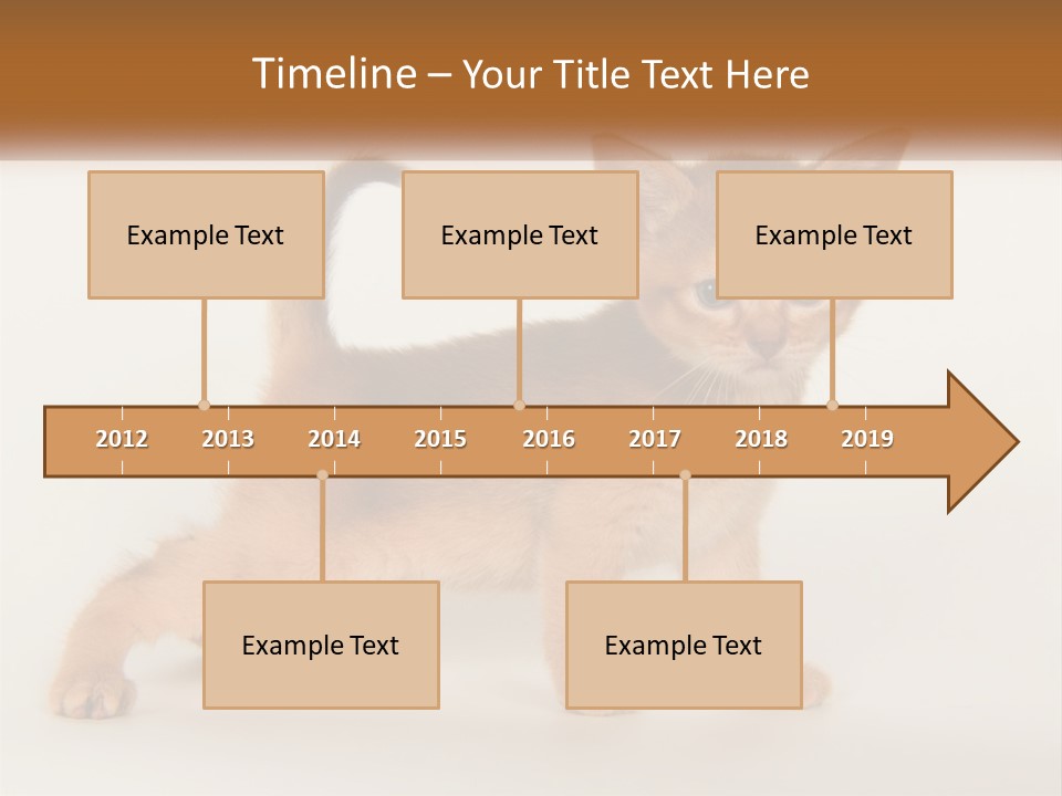 Switch Electricity Supply PowerPoint Template