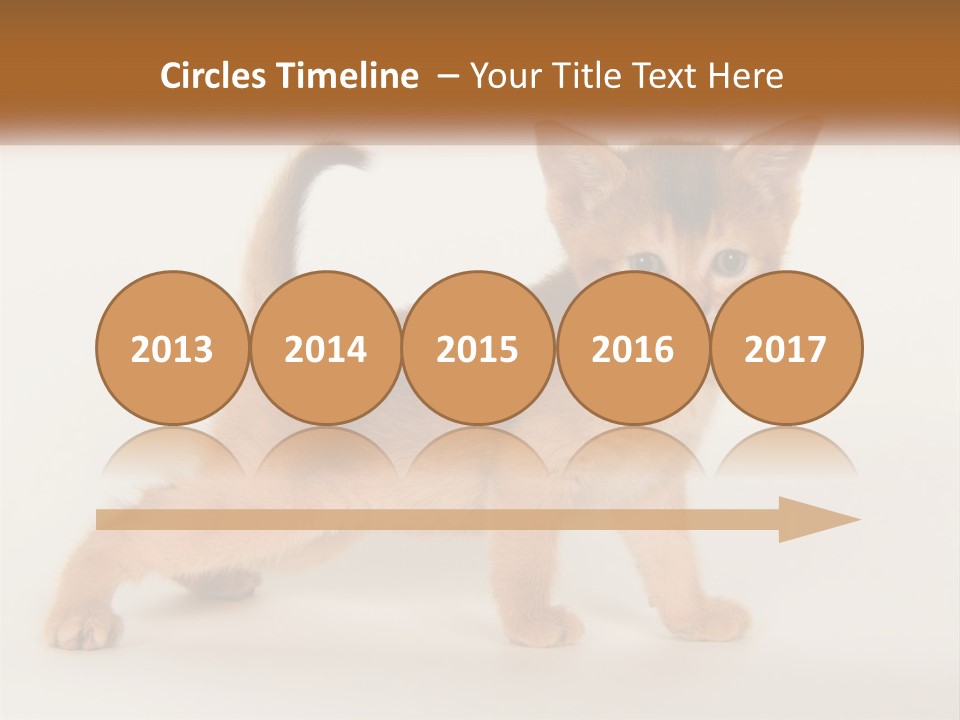 Switch Electricity Supply PowerPoint Template