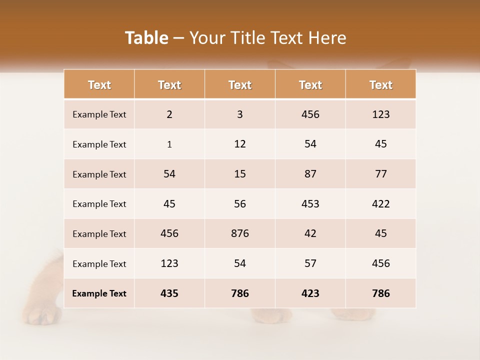 Switch Electricity Supply PowerPoint Template