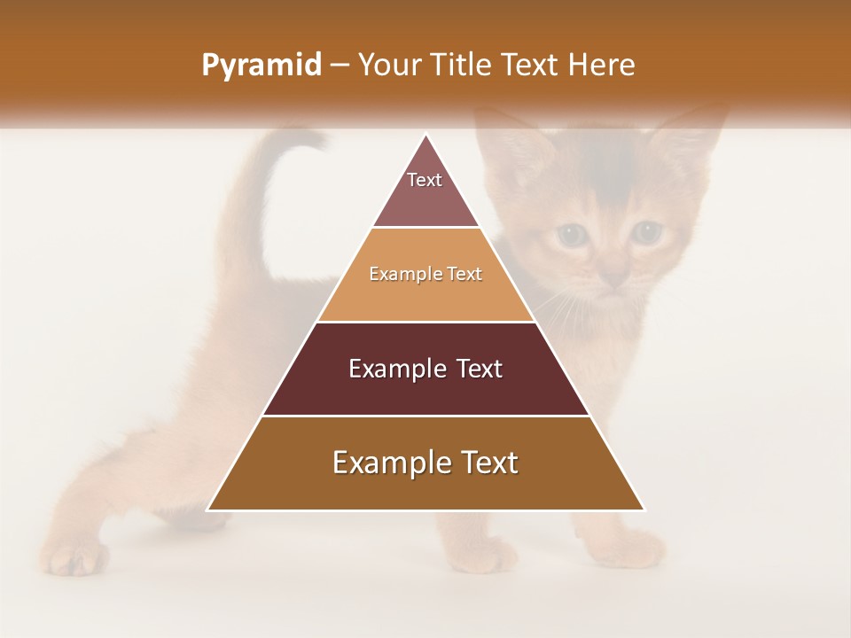 Switch Electricity Supply PowerPoint Template