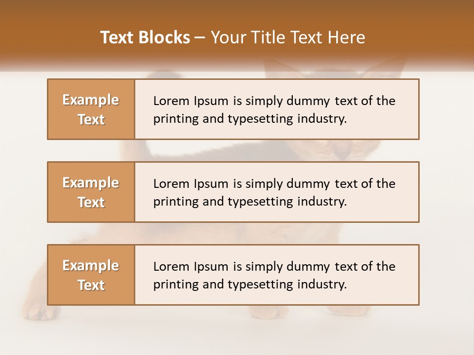 Switch Electricity Supply PowerPoint Template