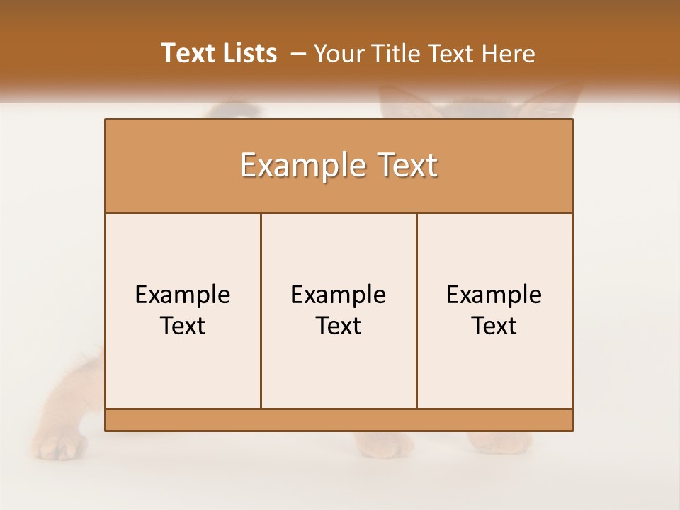 Switch Electricity Supply PowerPoint Template