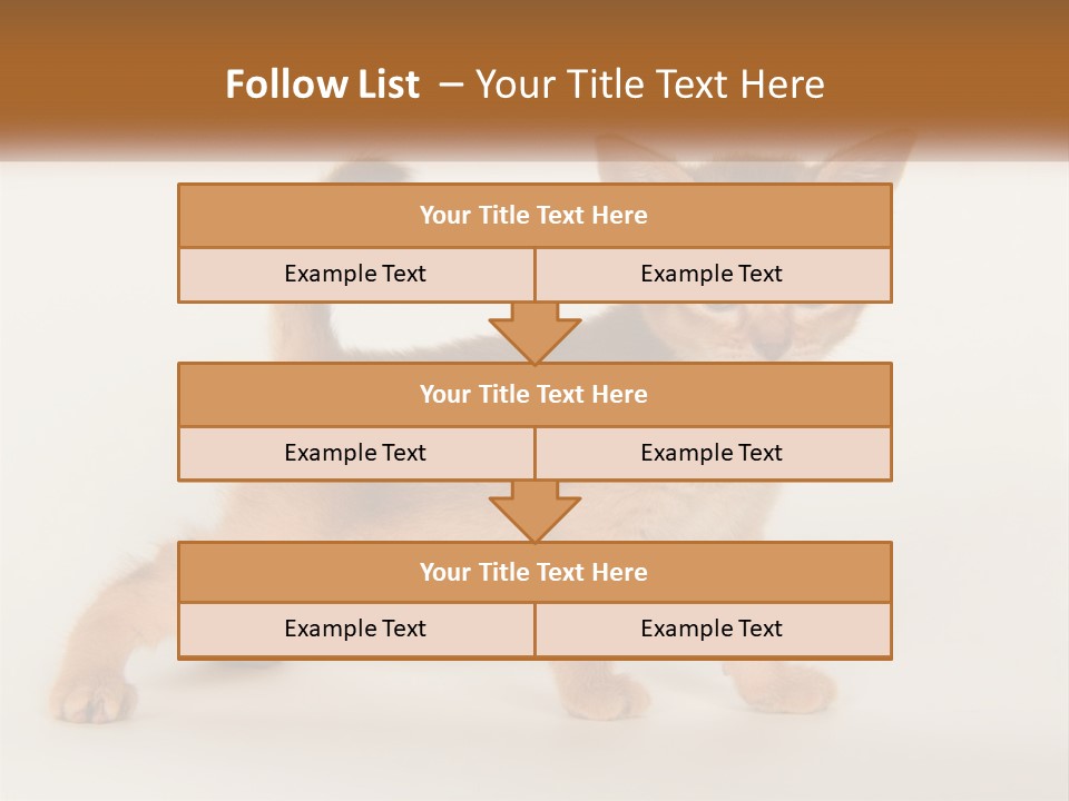 Switch Electricity Supply PowerPoint Template