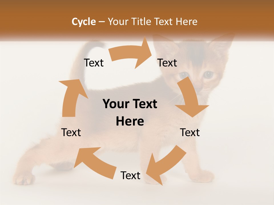 Switch Electricity Supply PowerPoint Template