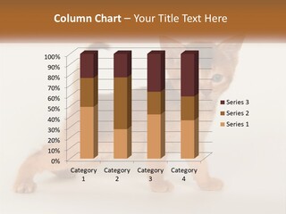 Switch Electricity Supply PowerPoint Template