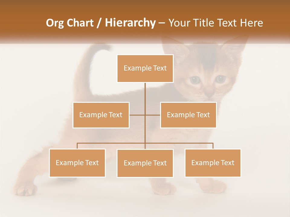 Switch Electricity Supply PowerPoint Template