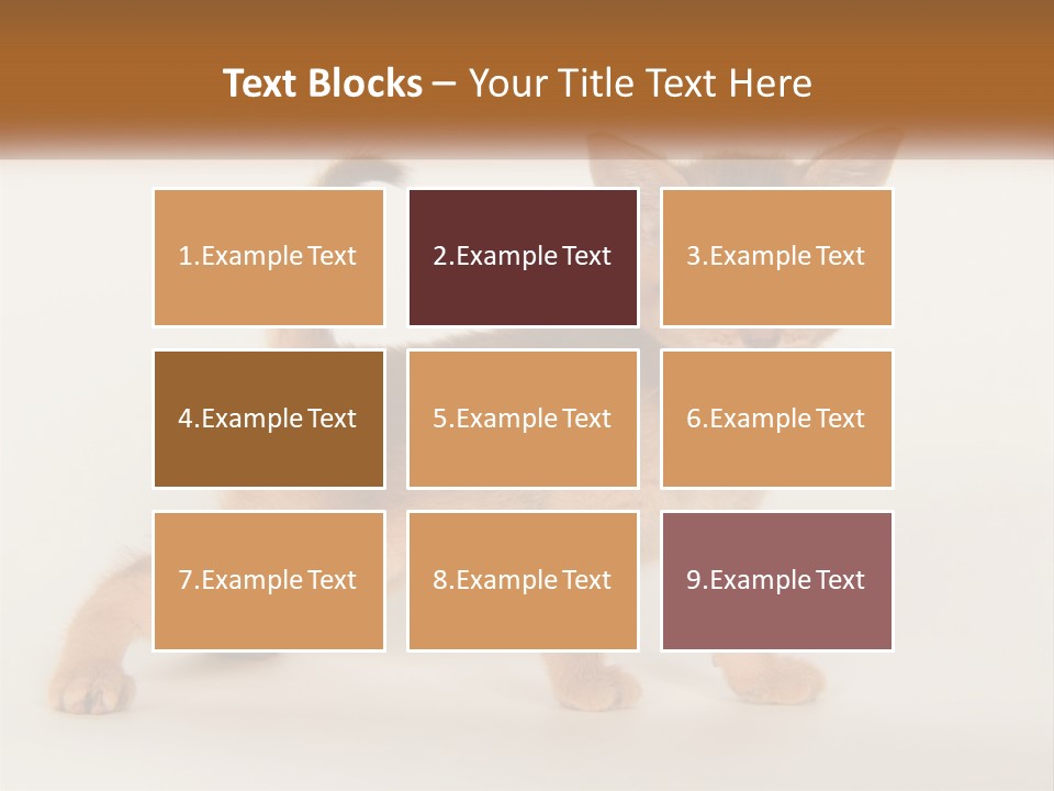 Switch Electricity Supply PowerPoint Template
