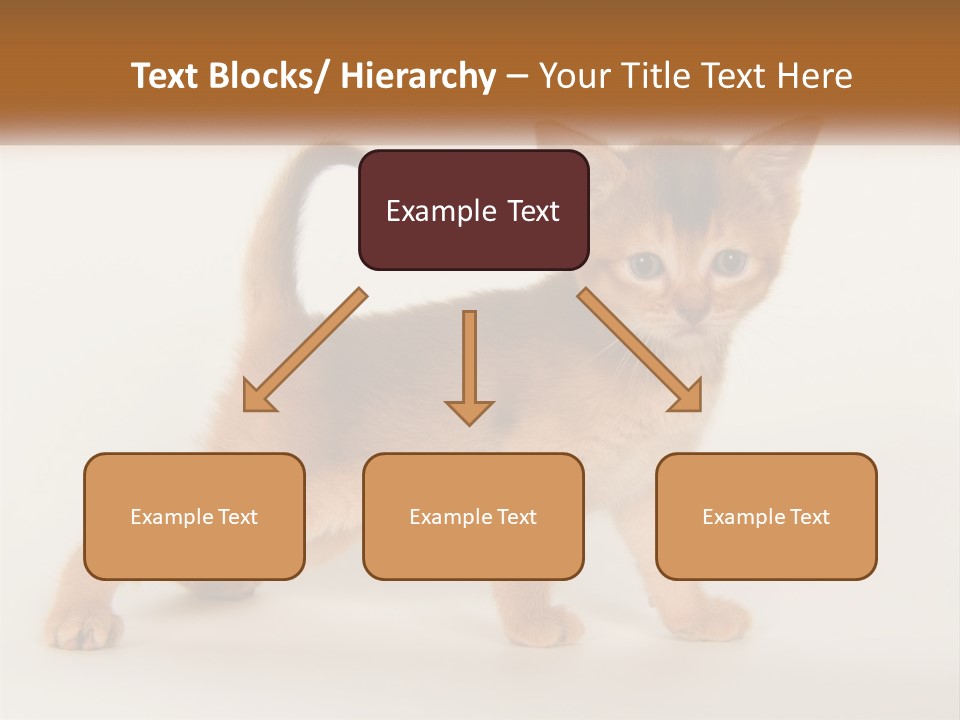Switch Electricity Supply PowerPoint Template