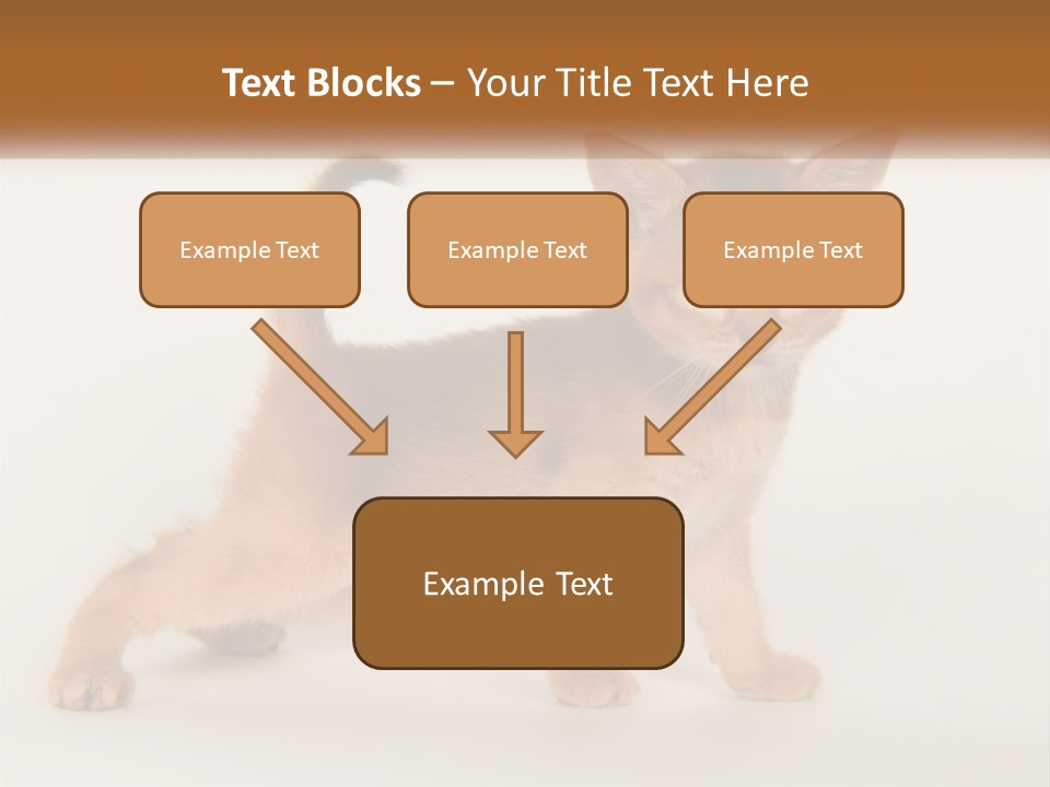Switch Electricity Supply PowerPoint Template
