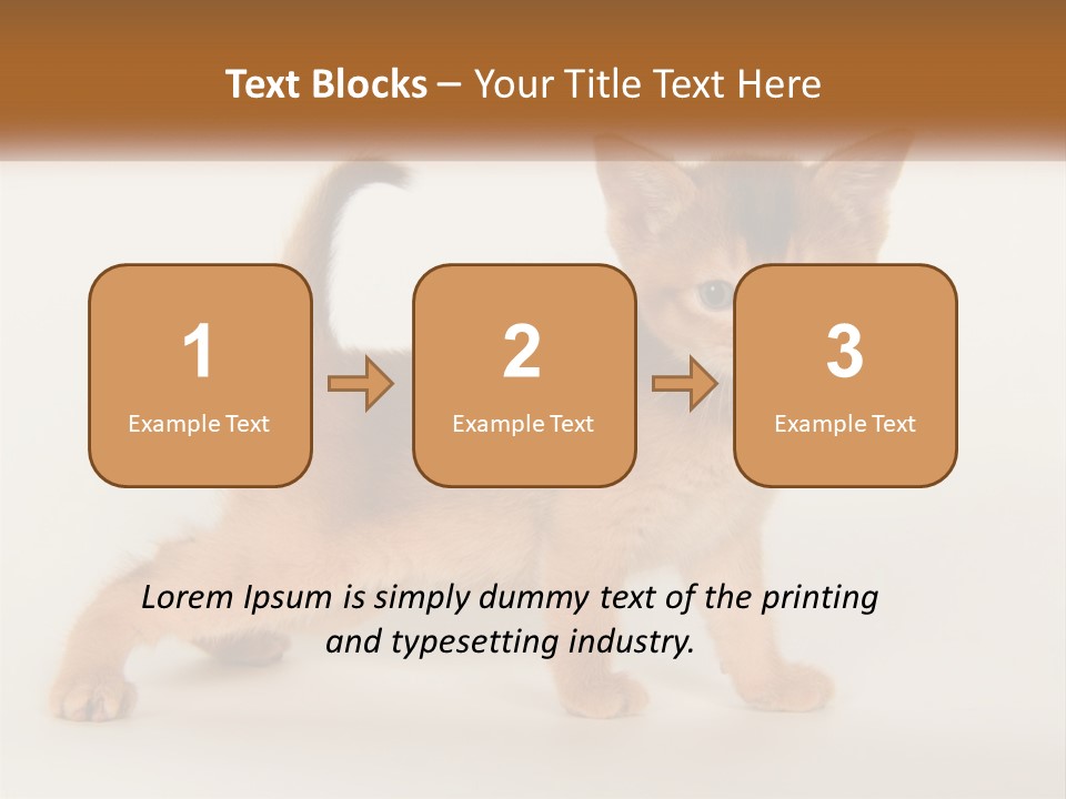 Switch Electricity Supply PowerPoint Template