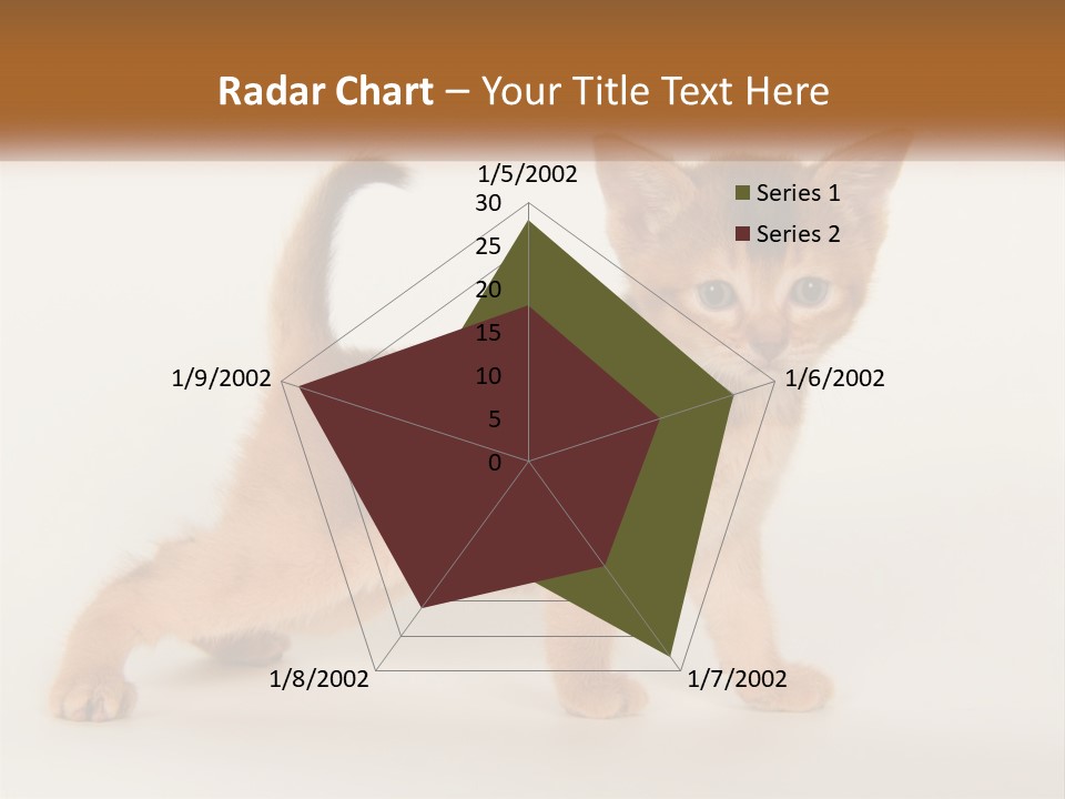 Switch Electricity Supply PowerPoint Template