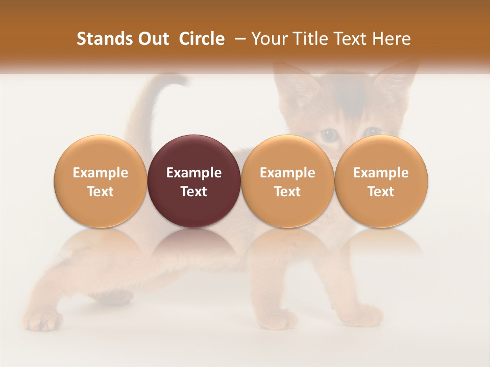 Switch Electricity Supply PowerPoint Template