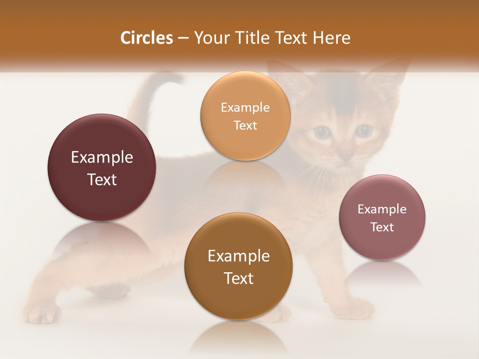 Switch Electricity Supply PowerPoint Template