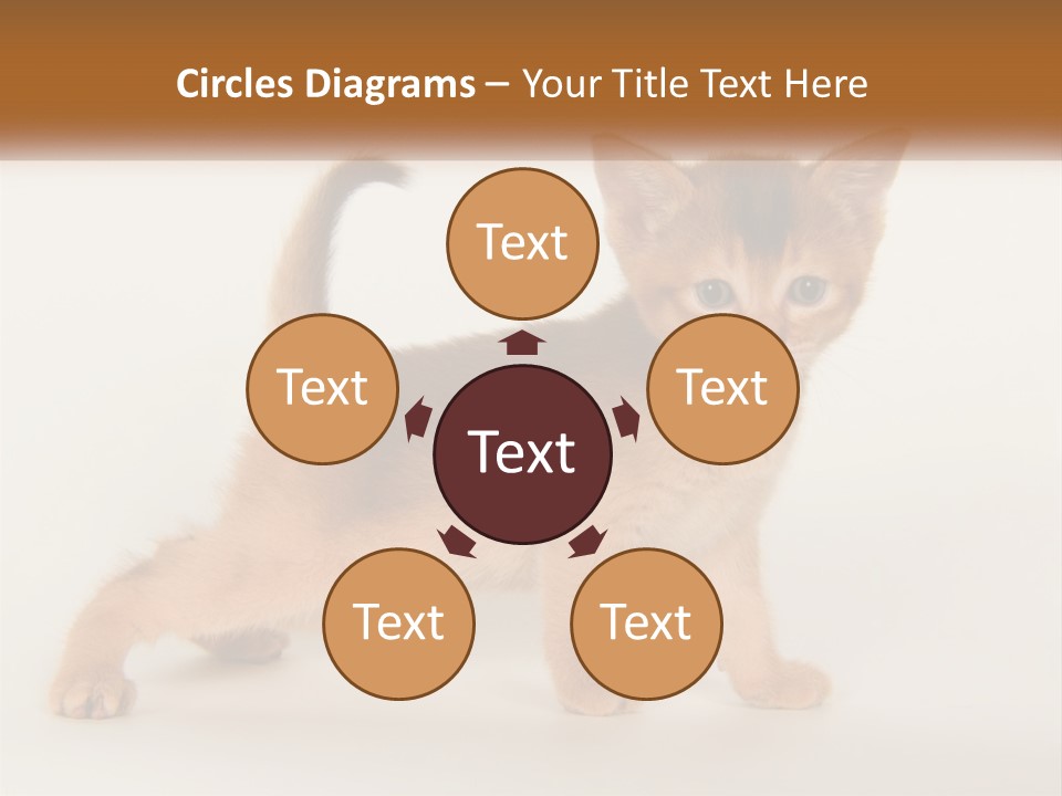 Switch Electricity Supply PowerPoint Template