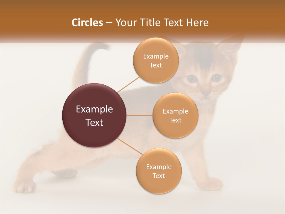 Switch Electricity Supply PowerPoint Template