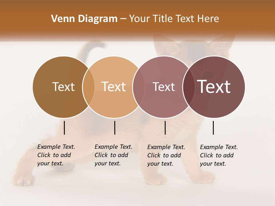 Switch Electricity Supply PowerPoint Template
