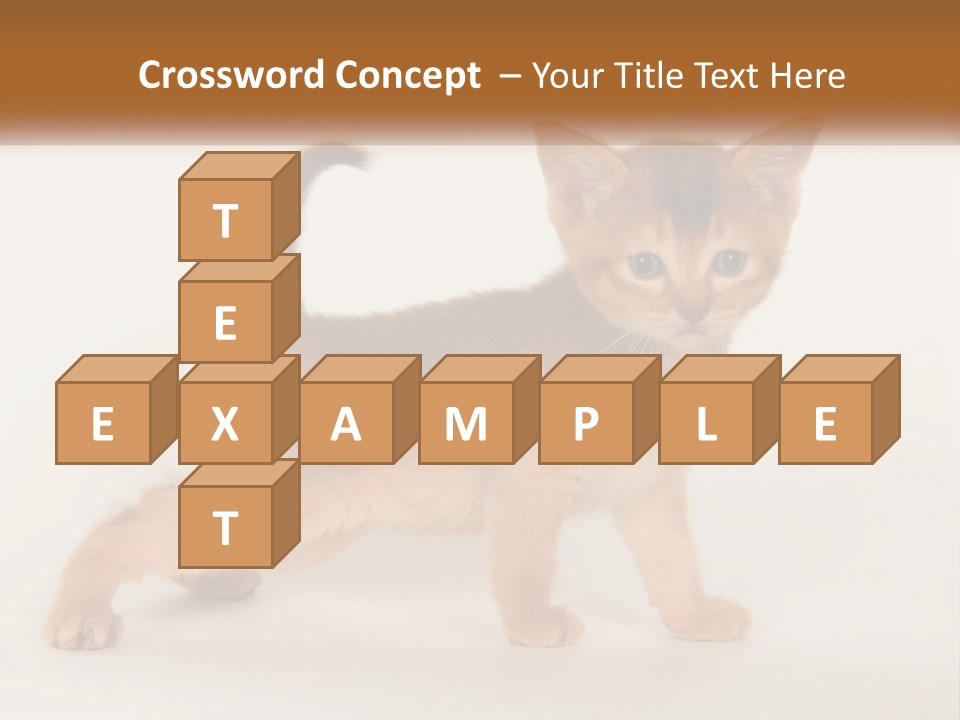 Switch Electricity Supply PowerPoint Template