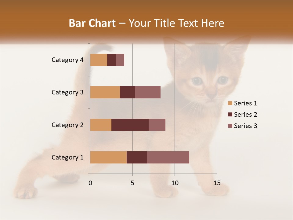 Switch Electricity Supply PowerPoint Template