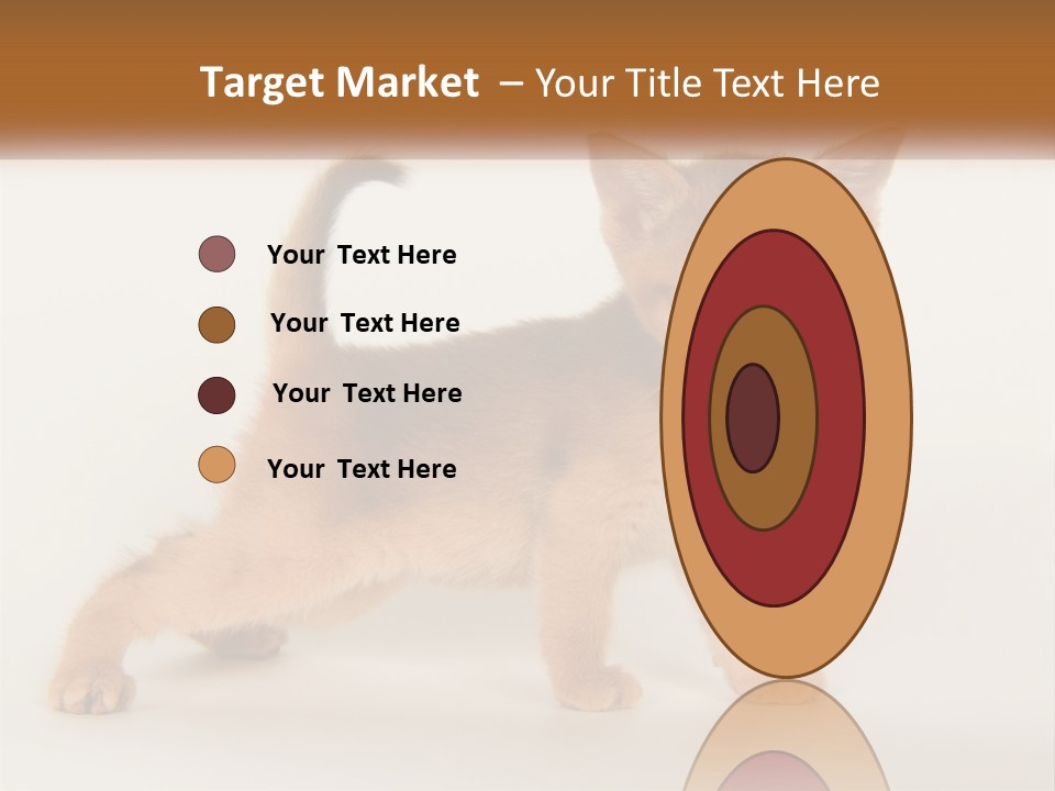 Switch Electricity Supply PowerPoint Template