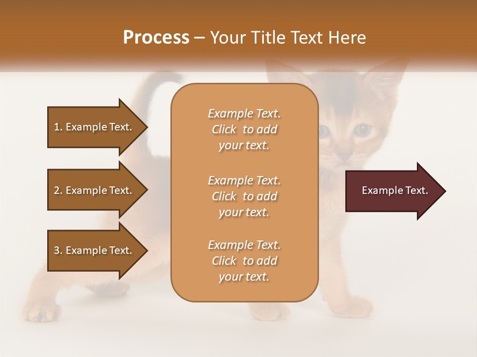 Switch Electricity Supply PowerPoint Template