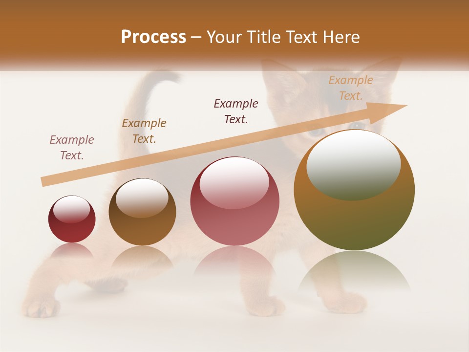 Switch Electricity Supply PowerPoint Template