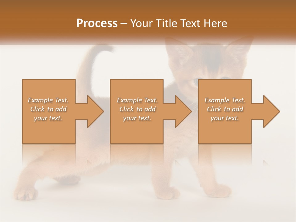Switch Electricity Supply PowerPoint Template