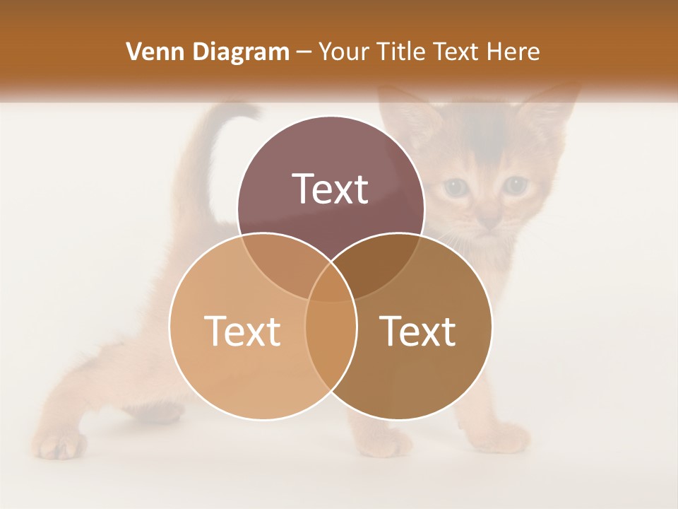 Switch Electricity Supply PowerPoint Template