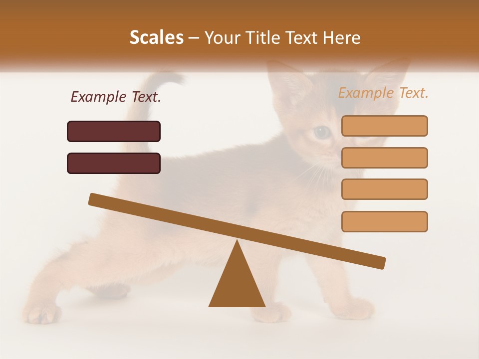 Switch Electricity Supply PowerPoint Template