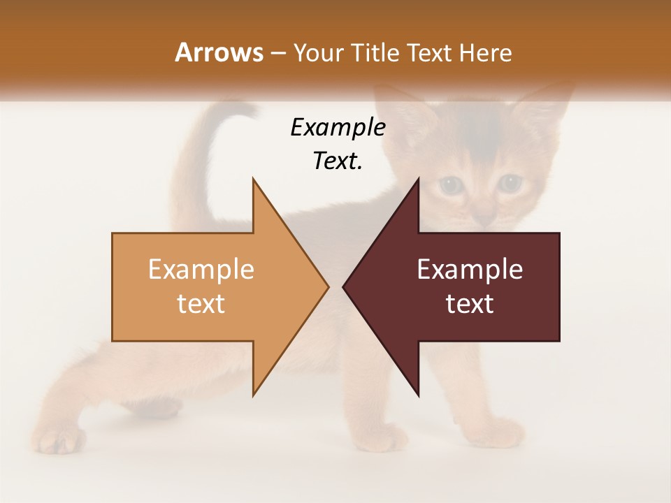Switch Electricity Supply PowerPoint Template