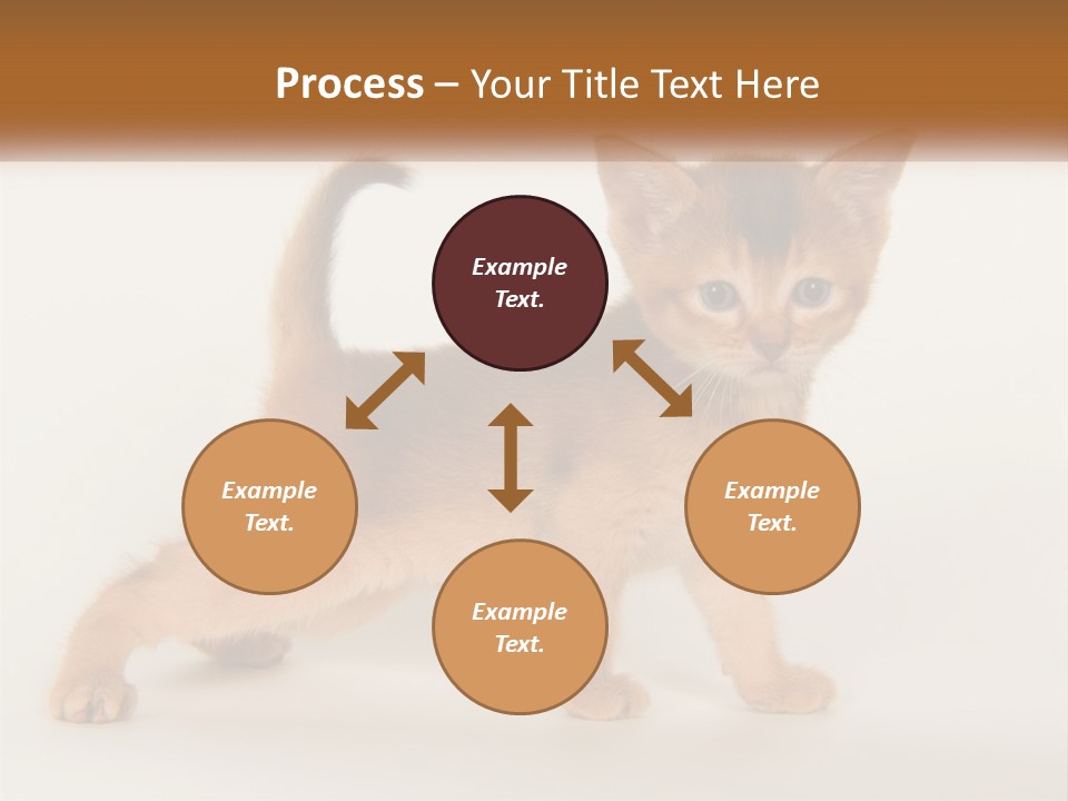 Switch Electricity Supply PowerPoint Template