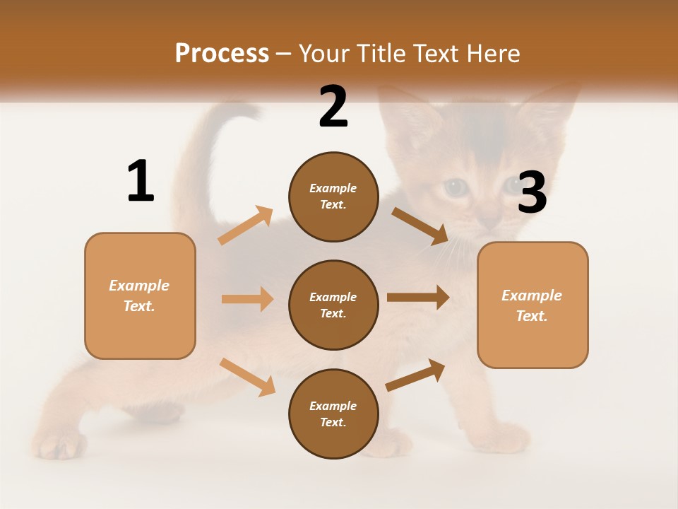 Switch Electricity Supply PowerPoint Template