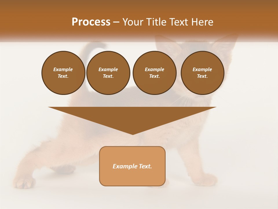 Switch Electricity Supply PowerPoint Template