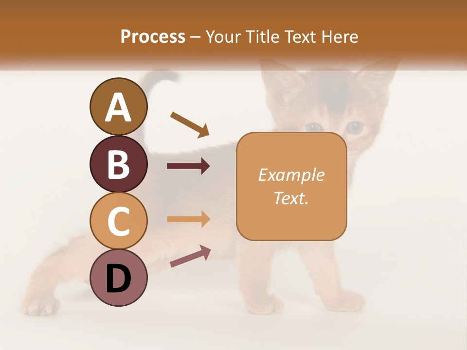 Switch Electricity Supply PowerPoint Template