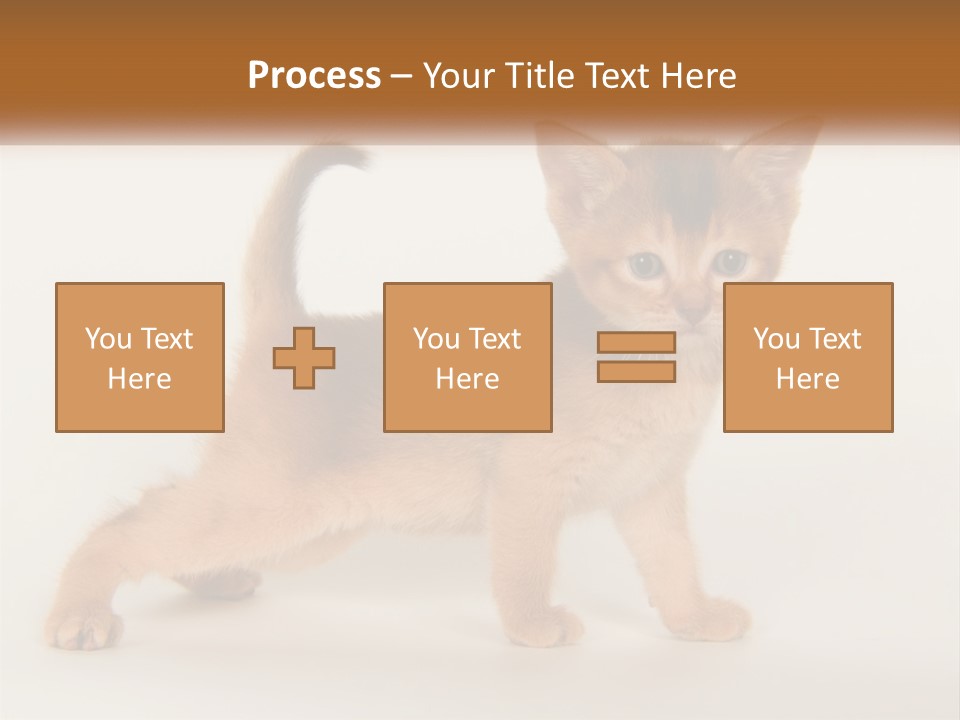 Switch Electricity Supply PowerPoint Template