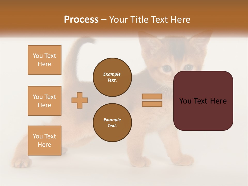 Switch Electricity Supply PowerPoint Template