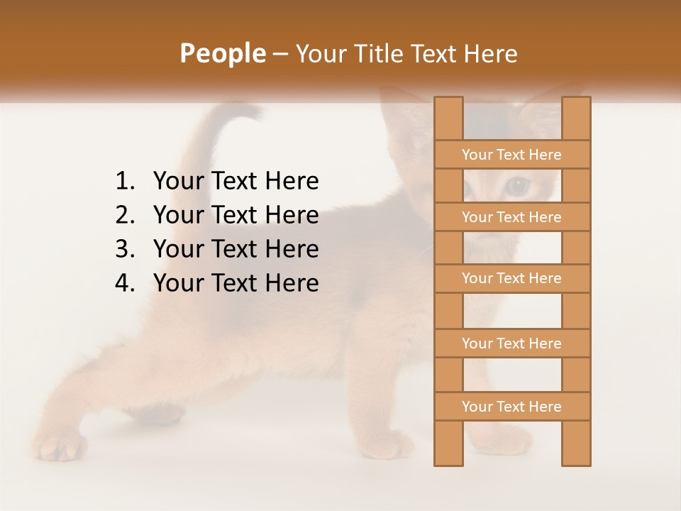 Switch Electricity Supply PowerPoint Template