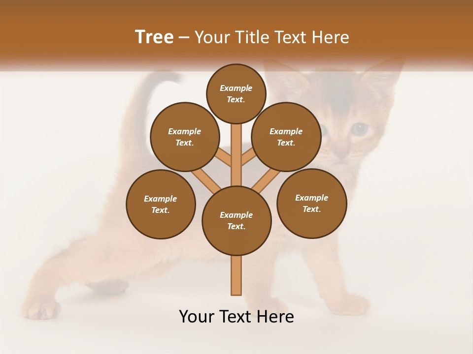 Switch Electricity Supply PowerPoint Template