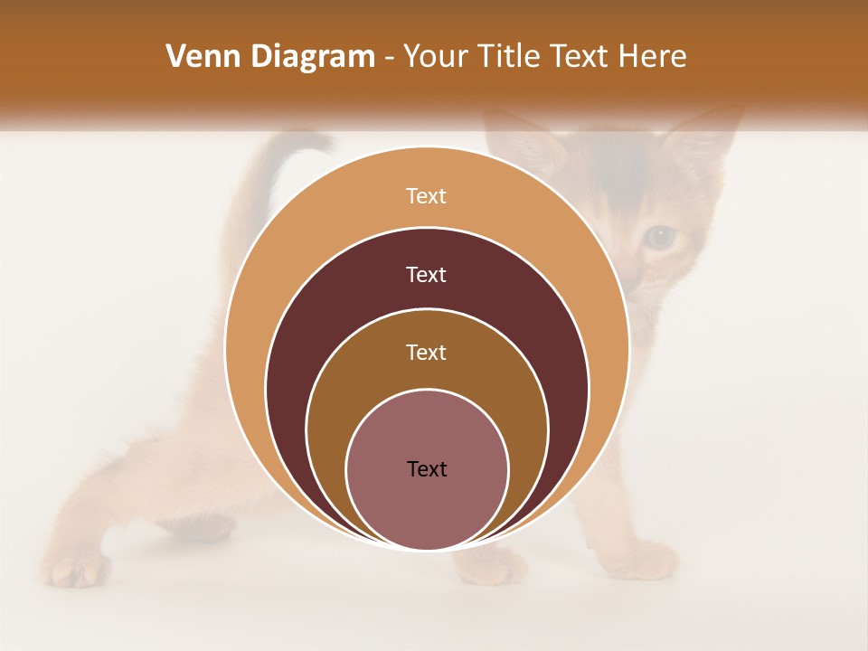 Switch Electricity Supply PowerPoint Template