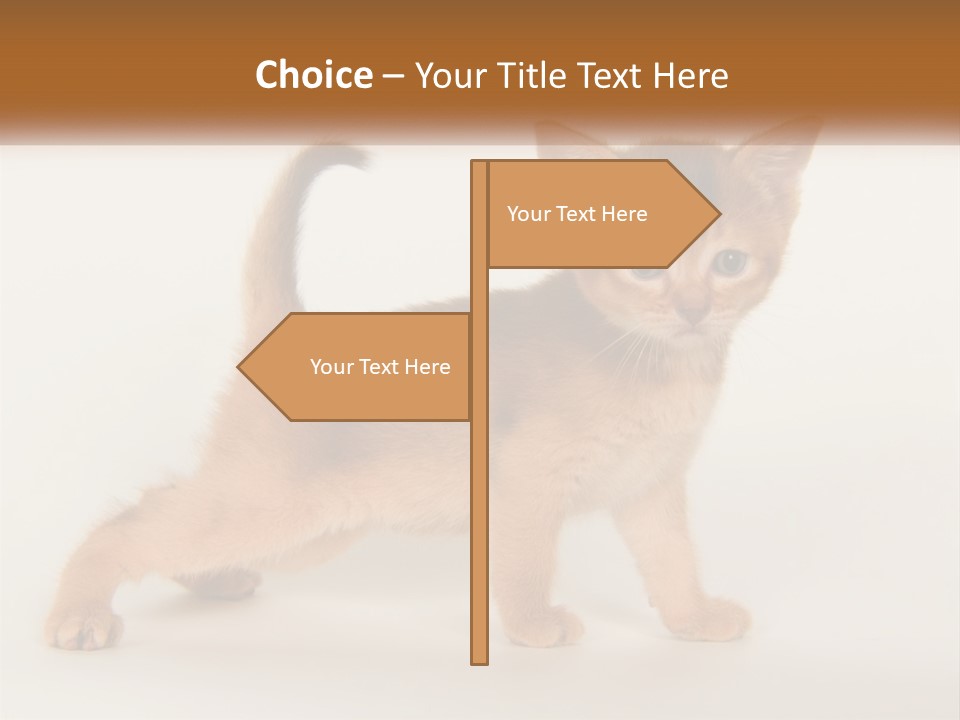 Switch Electricity Supply PowerPoint Template
