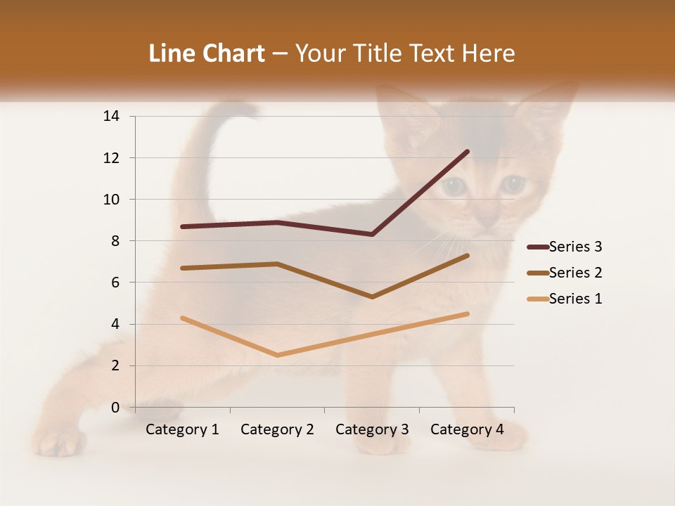 Switch Electricity Supply PowerPoint Template