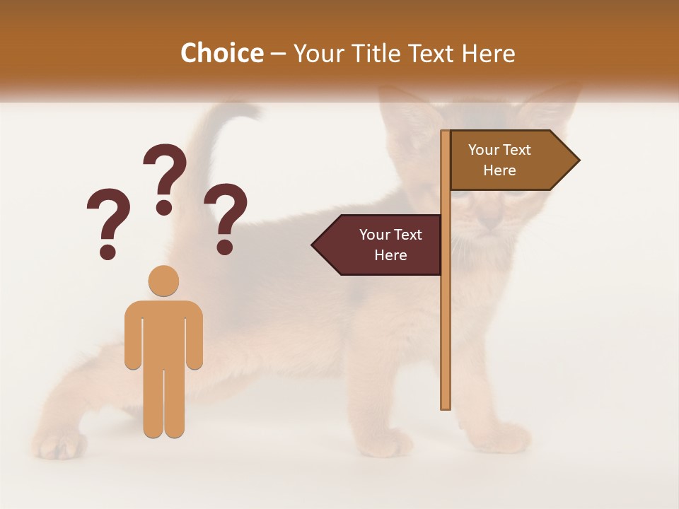 Switch Electricity Supply PowerPoint Template