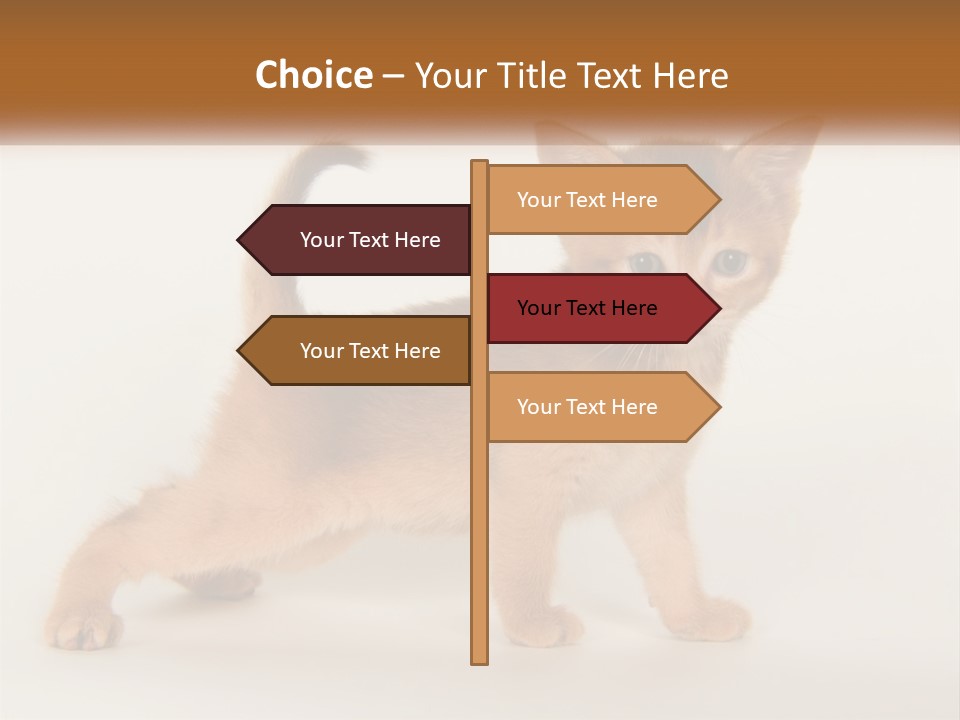 Switch Electricity Supply PowerPoint Template