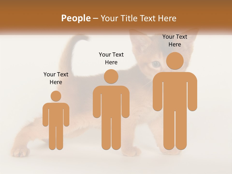Switch Electricity Supply PowerPoint Template
