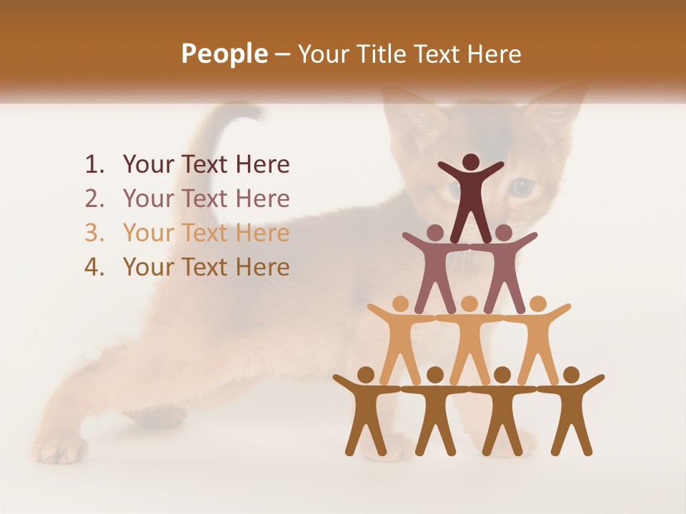 Switch Electricity Supply PowerPoint Template