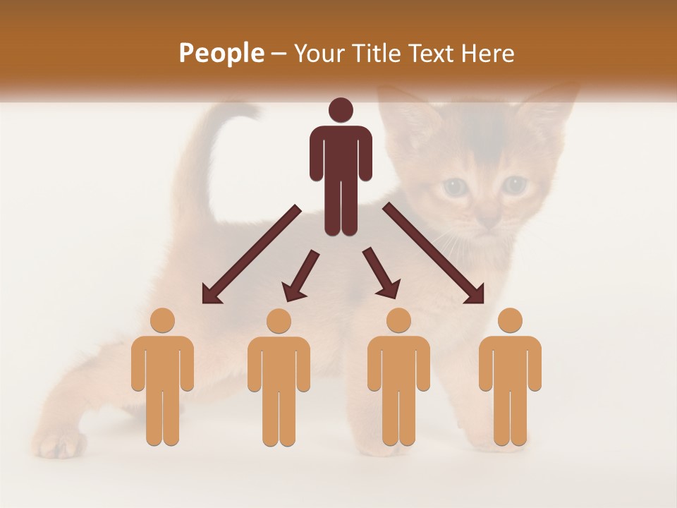 Switch Electricity Supply PowerPoint Template