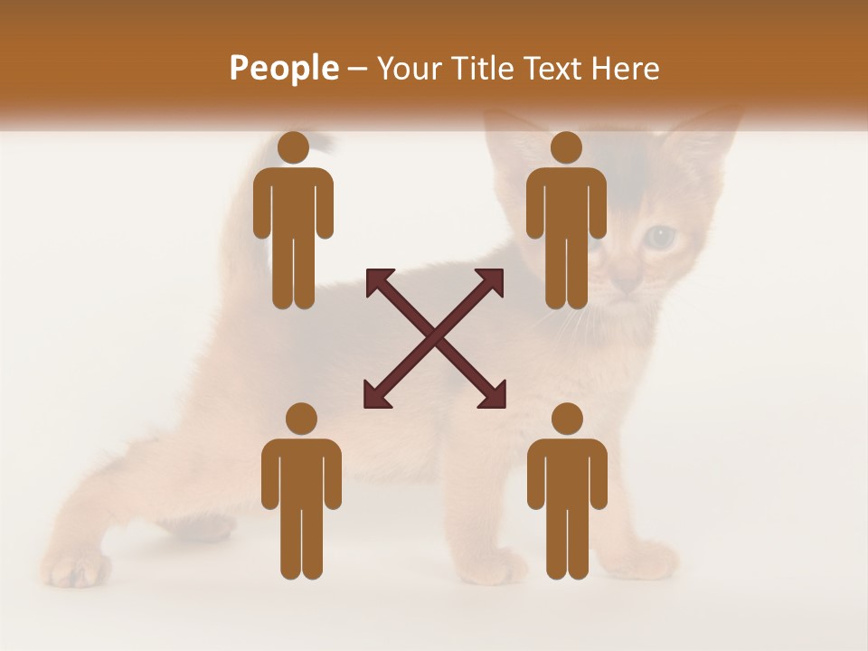 Switch Electricity Supply PowerPoint Template