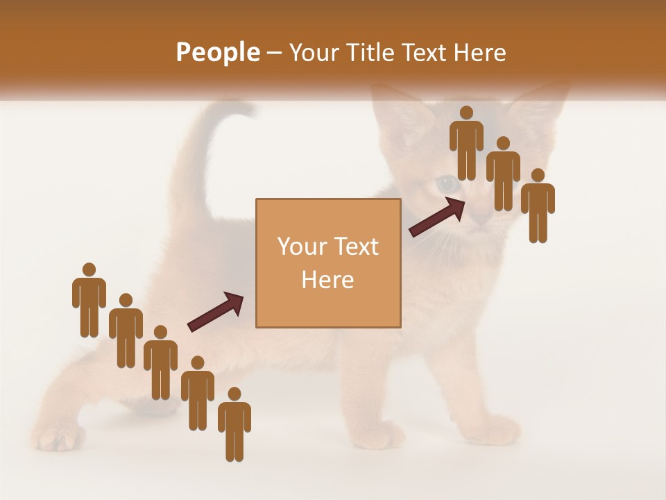 Switch Electricity Supply PowerPoint Template