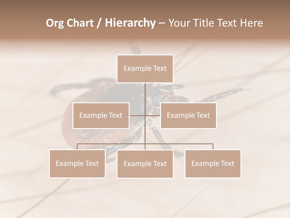 Equipment Remote Cooling PowerPoint Template