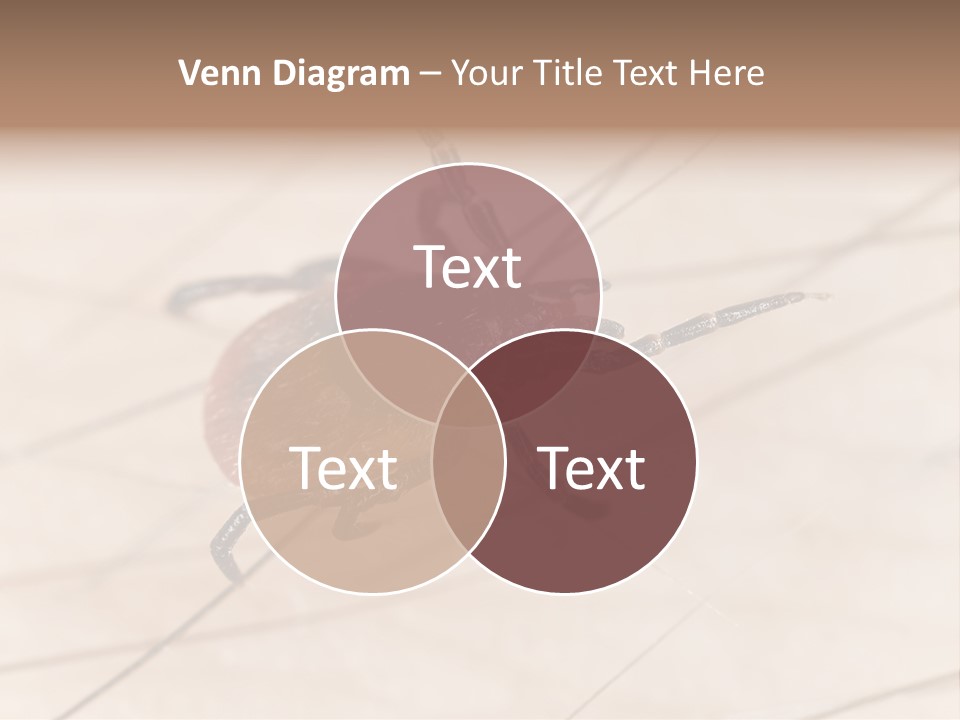 Equipment Remote Cooling PowerPoint Template